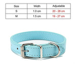 Basic pet collar