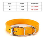 Basic pet collar