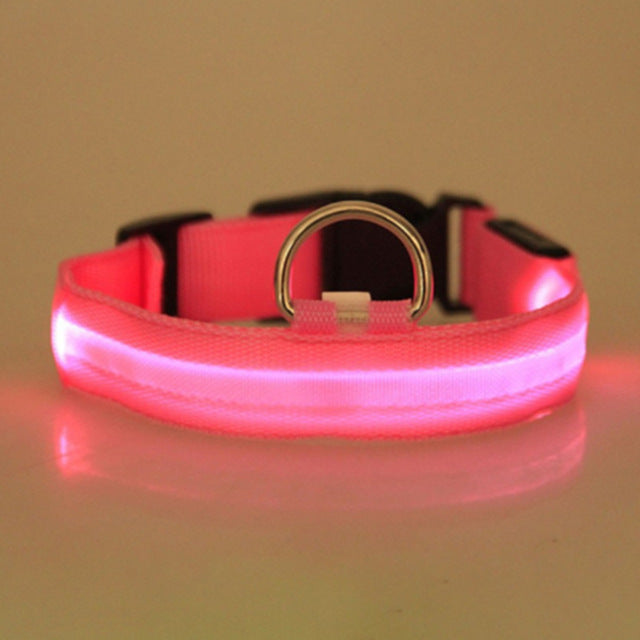 LED Pet Collar