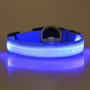 LED Pet Collar