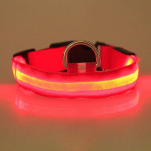 LED Pet Collar