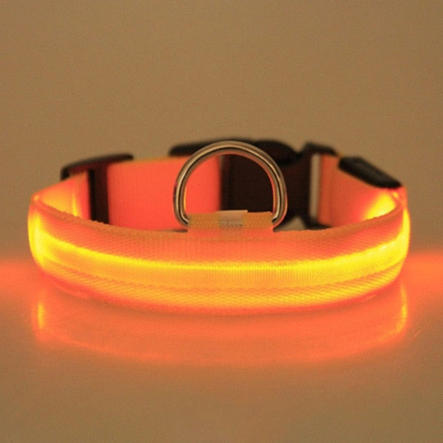 LED Pet Collar