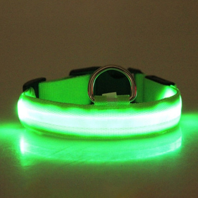 LED Pet Collar