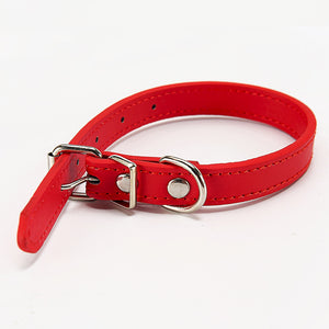 Basic pet collar