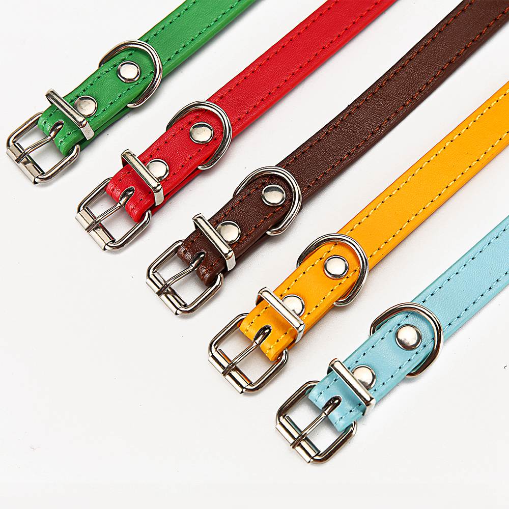 Basic pet collar